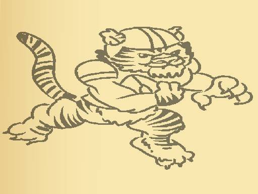 Tiger Coloring Book